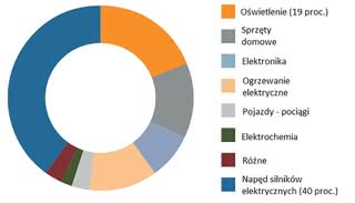 Globalne zapotrzebowanie na energię elektryczną; źródło: dane Światowej Rady Energii z 2013 r.