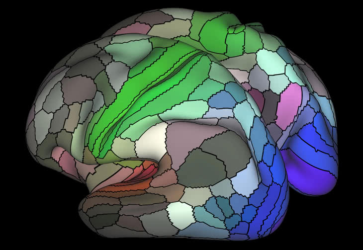 Nowa, rekordowa mapa ludzkiego mózgu