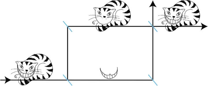 Model eksperymentu, czyli kot z Cheshire – kot to neutron, a uśmiech to spin neutronu