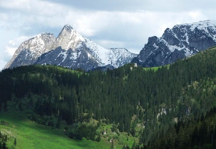 Górnictwo i geologia... Po sól ziemi czarnej