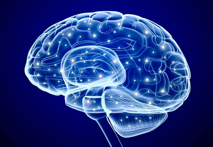 Sztuczny mózg - dokładnie taki sam, jak nasz 