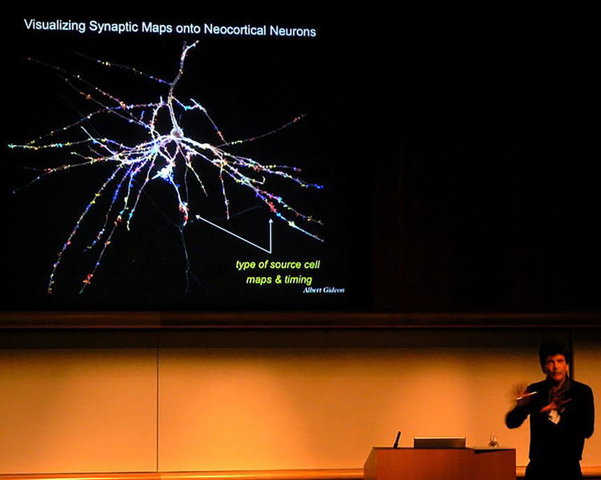 Henry Markram prezentuje wizualizację synaptycznych połączeń symulowanych w projekcie Blue Brain