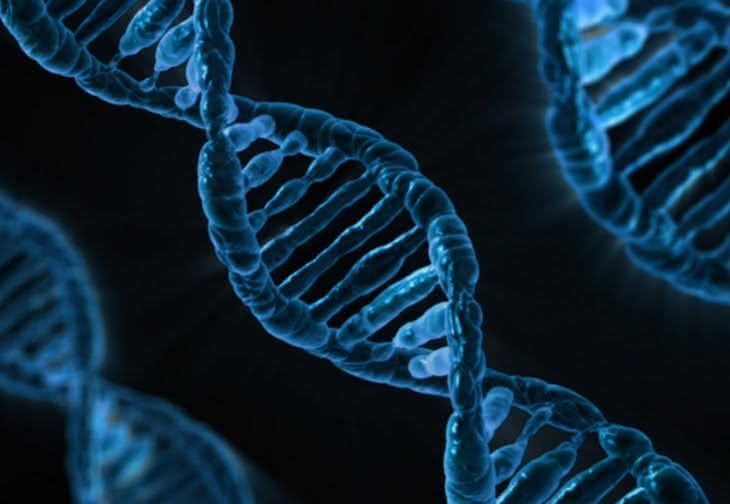 Inżynieria biomedyczna... Dla urodzonych naukowców