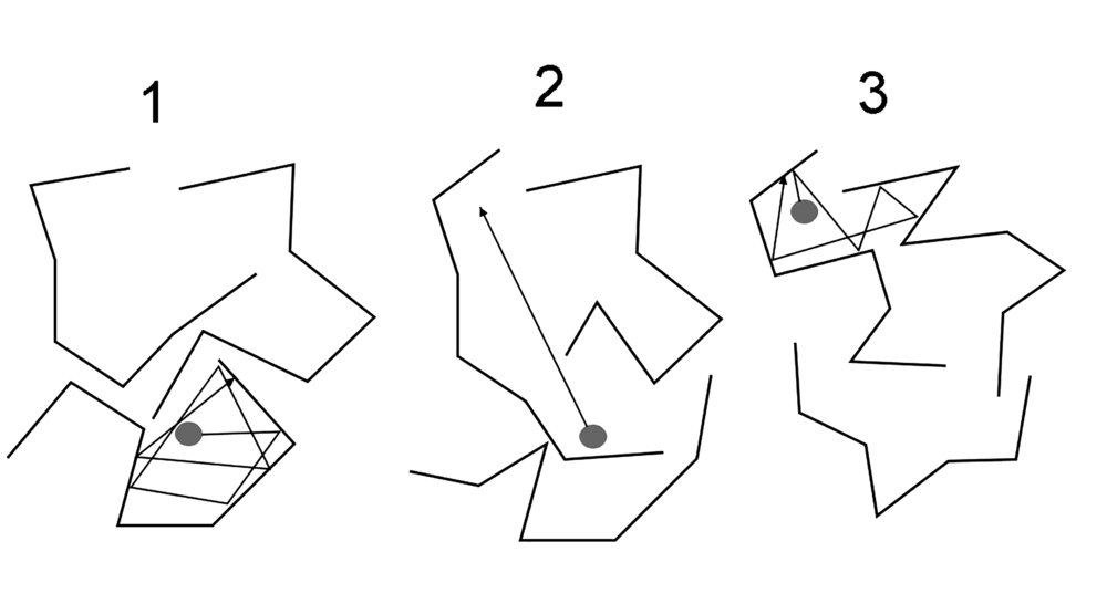 Schemat procesu dyfuzji cząsteczki pomiędzy łańcuchami polimerowymi: 1 - cząsteczka oscyluje w bardzo małym obszarze ograniczonym przez sąsiednie molekuły polimeru; 2 - cząsteczka wykonuje skok dyfuzyjny w nowe, dalsze miejsce, do którego drogę odsłoniły ciągle ruszające się łańcuchy polimerowe; 3 - cząsteczka oscyluje w nowym miejscu aż do czasu, gdy powstanie możliwość wykonania kolejnego skoku.