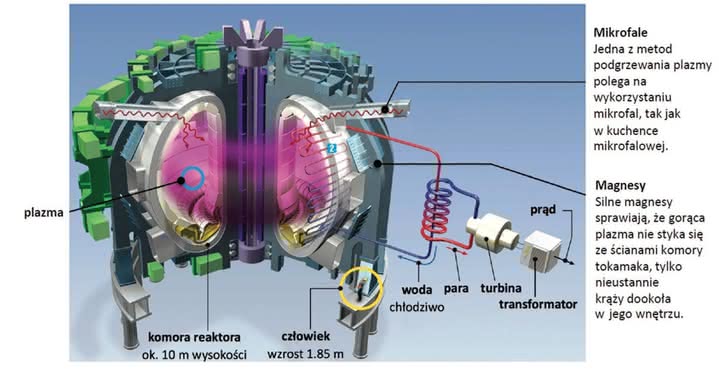Model reaktora syntezy termojądrowej (rys:. ifj.edu.pl)
