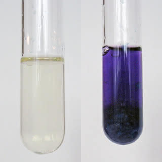 Roztwór białka jaja (z lewej) i dodatni wynik próby biuretowej (z prawej).