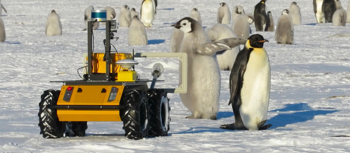 Z robotem wśród pingwinów