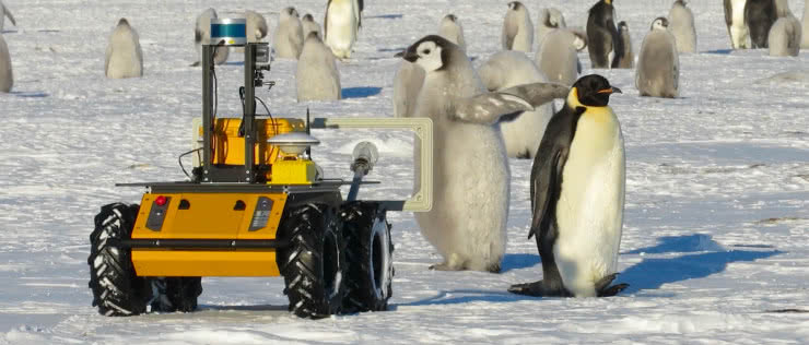 Z robotem wśród pingwinów
