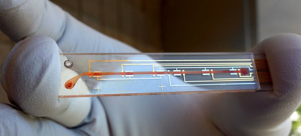 Wykryć raka w kropli krwi