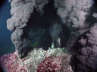 Kominy hydrotermalne na dnie ziemskiego oceanu