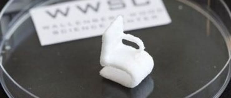 Wydruk 3D z celulozy