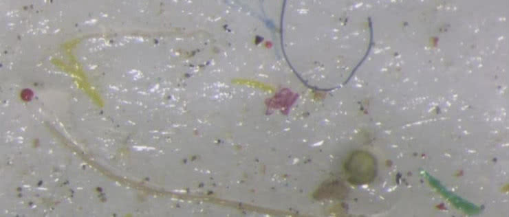 W arktycznym lodzie odkryto mikroplastik