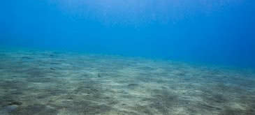 Olbrzymie zasoby słodkiej wodypod dnem morskim