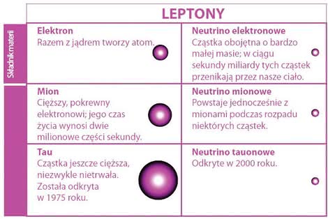Leptony według Modelu Standardowego