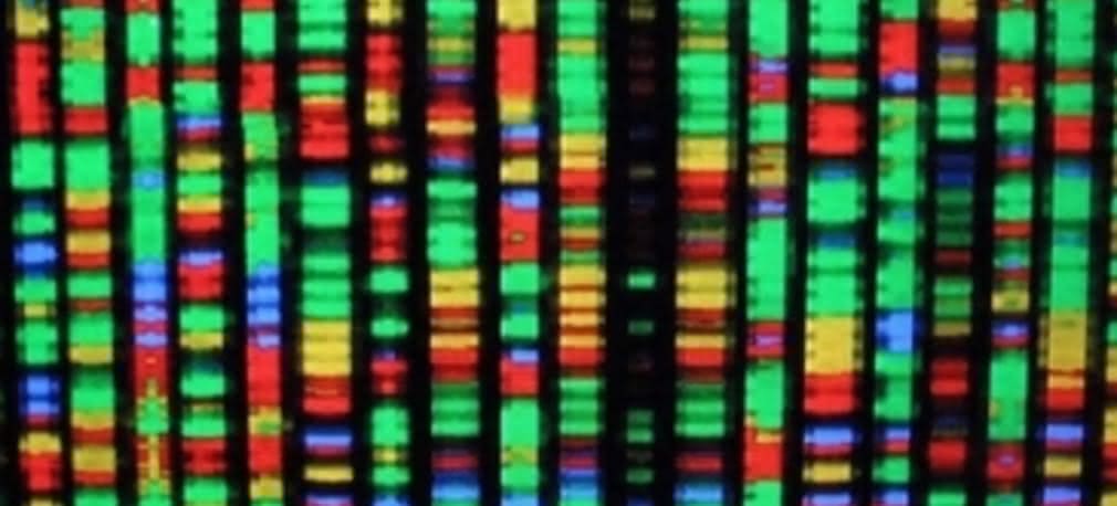  DNA zamiast twardych dysków?