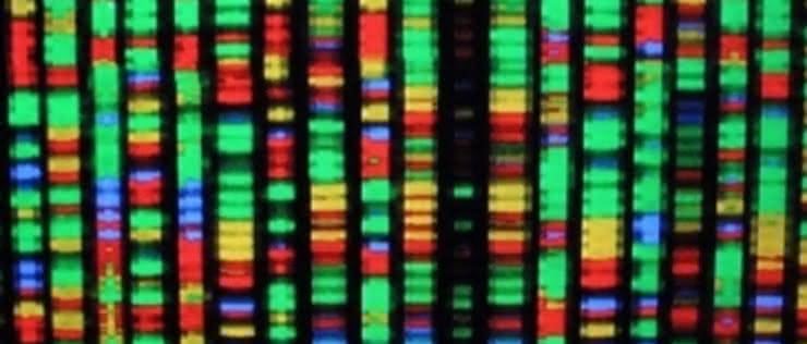  DNA zamiast twardych dysków?