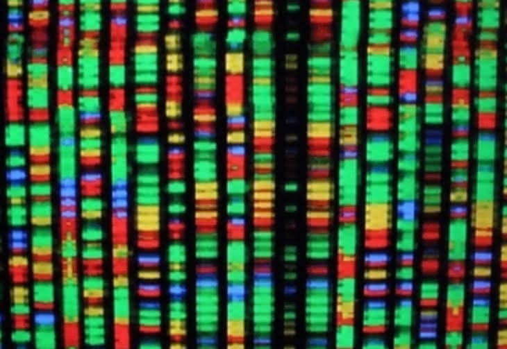  DNA zamiast twardych dysków?