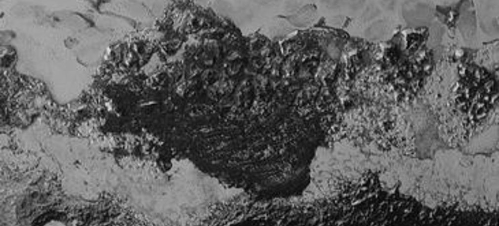 Nowe zdjęcia Plutona i fascynująca różnorodność