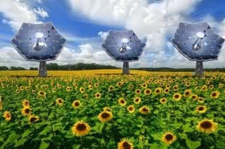 Anteny fotowoltaiczne na polu słoneczników