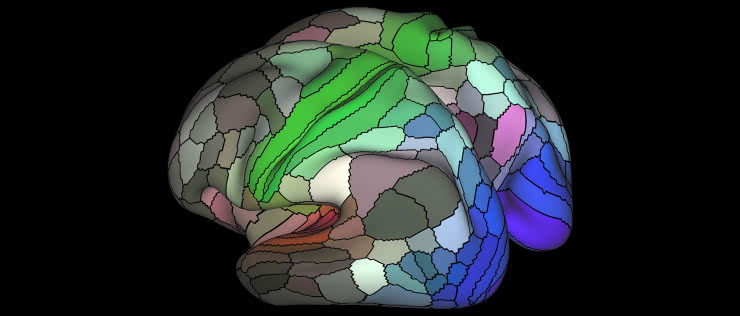 Nowa, rekordowa mapa ludzkiego mózgu