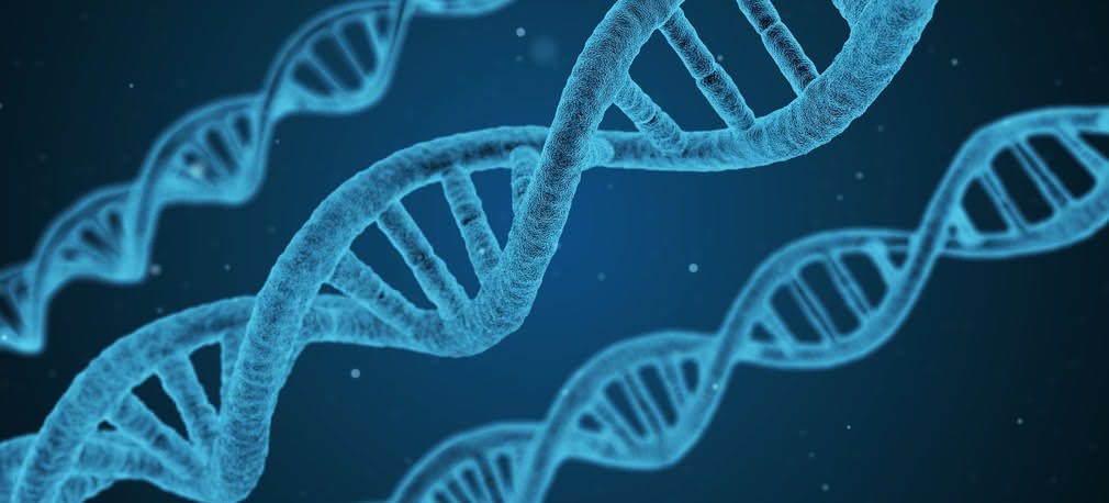 DNA pomaga rozwiązać stare kryminalne zagadki