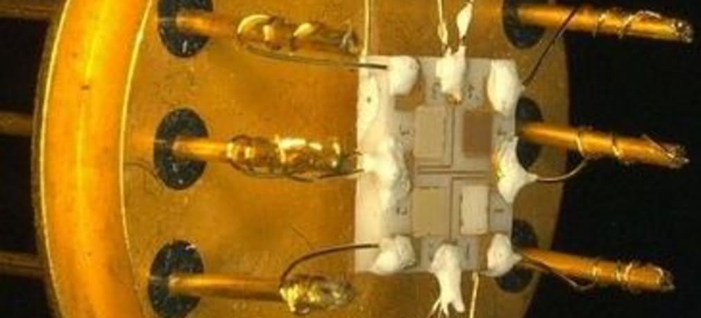 Wczesne ostrzeganie pożarowe