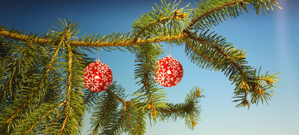 Bombka LED dla każdego