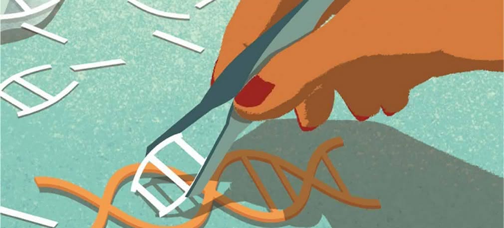 Koniec i co dalej: Schyłek chorób