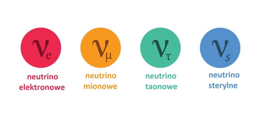 Oznaczenia neutrin