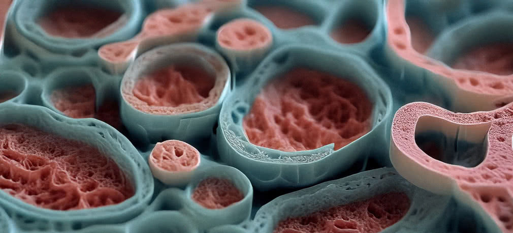 Biodruk 3D wewnątrz żywego ciała