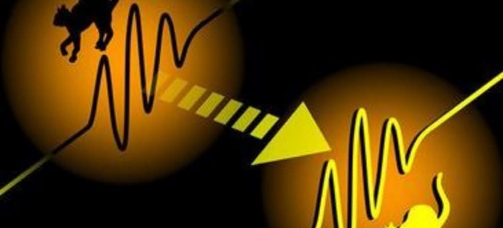 Splątanie kwantowe na sterydach