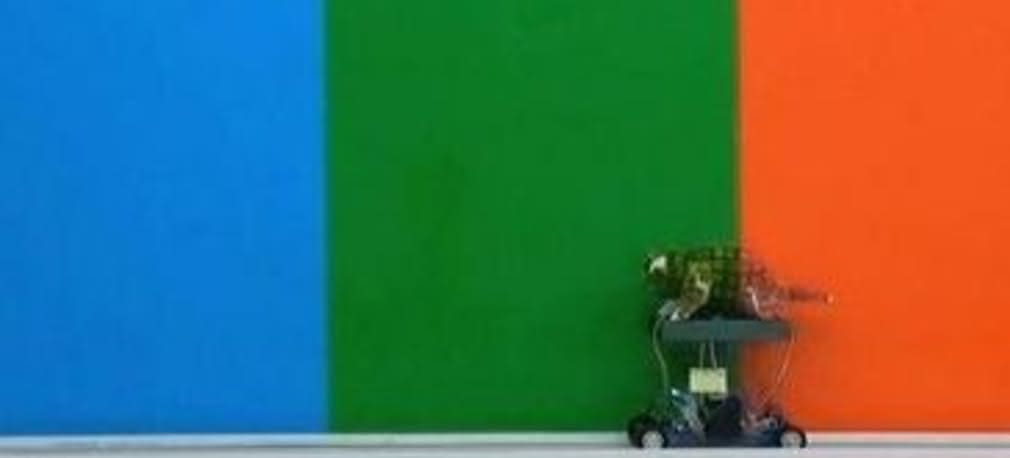 Robot kameleon