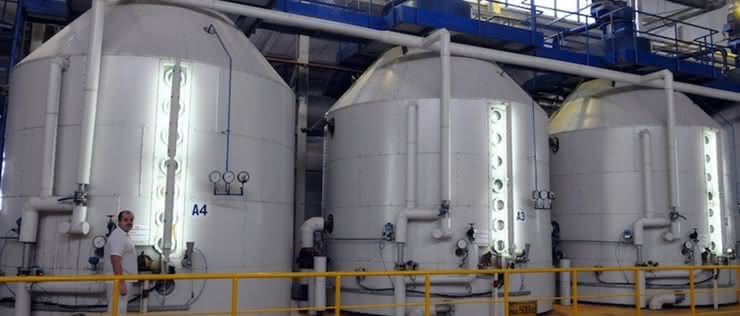 Jak się produkuje cukier