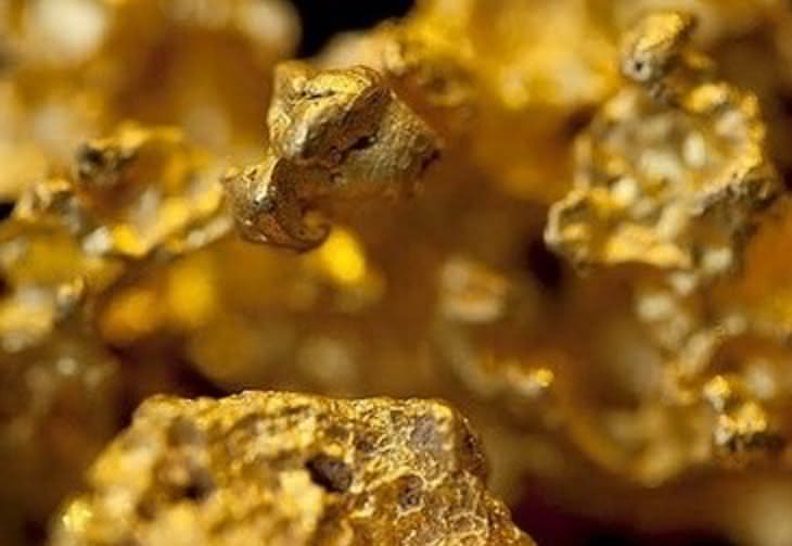 Bakteria wytwarza złoto z toksyn