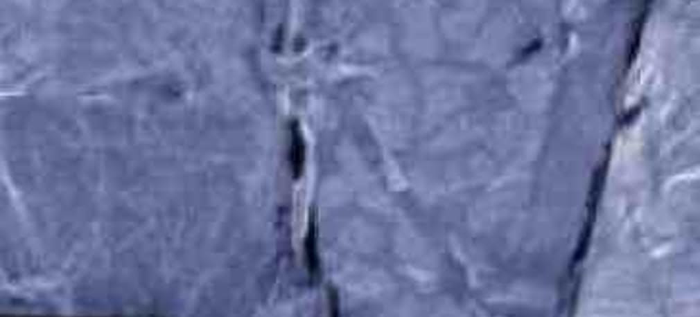 Mikroskop jonowy pozwala zobaczyć więcej