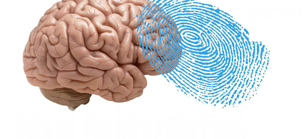 Falowe „linie papilarne” 