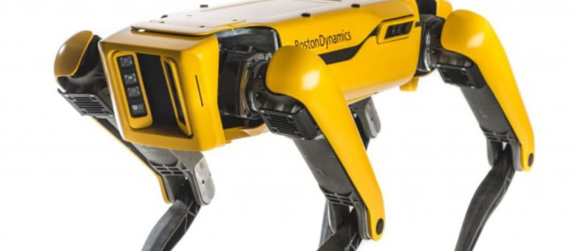 Pies Boston Dynamics już do kupienia