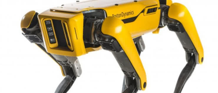 Pies Boston Dynamics już do kupienia