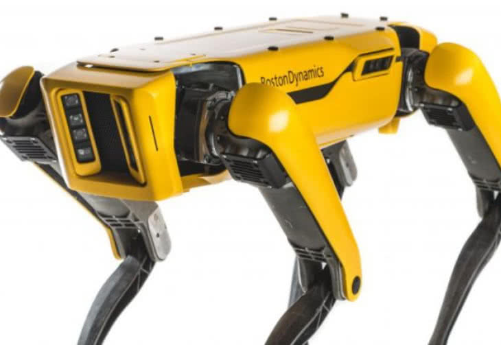 Pies Boston Dynamics już do kupienia