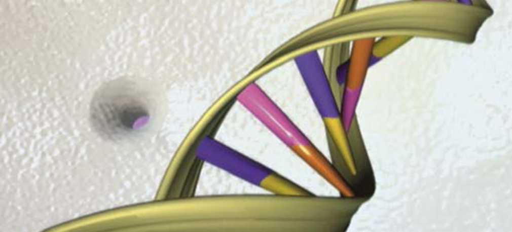 Sztuczne "życie" w rozkwicie