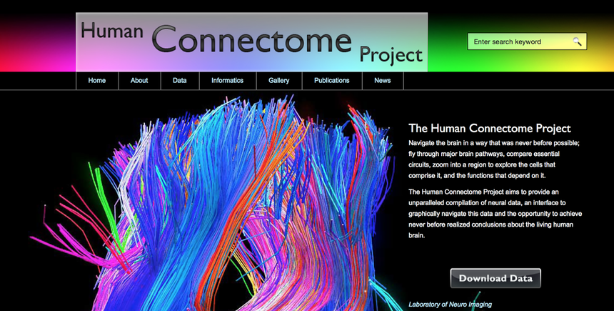 Strona projektu ludzkiego konektomu