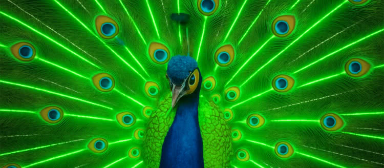 Dumny jak paw, bo wyposażony w laser