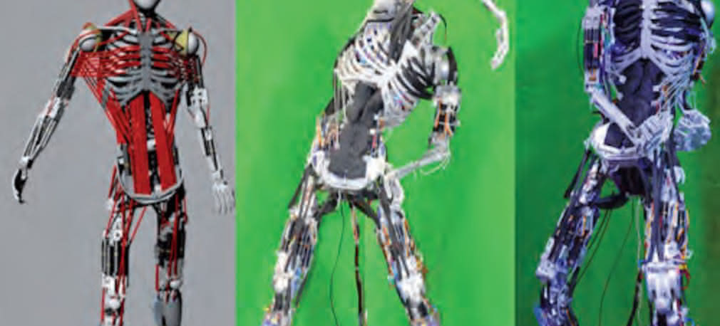 Mięśnie, kości ? po prostu robot