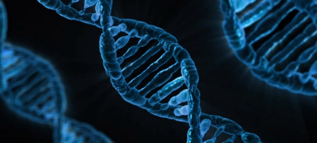 Inżynieria biomedyczna... Dla urodzonych naukowców