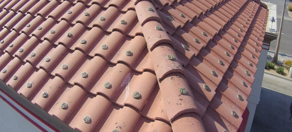 Pastylki do odstraszania niechcianych ptaków