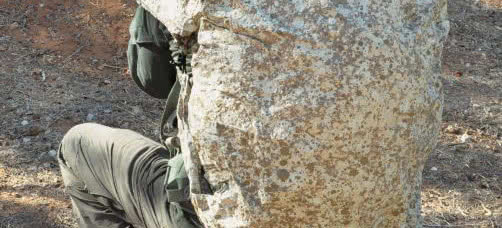 Czapka niewidka to coraz lepiej widoczna perspektywa. W poszukiwaniu idealnego kamuflażu