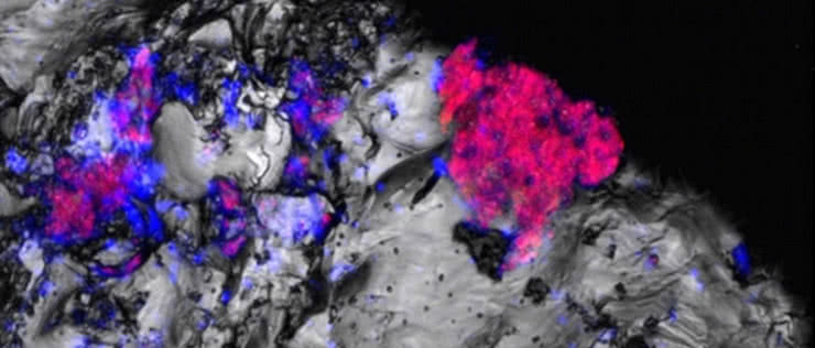 Obcy już są na Ziemi