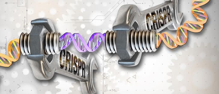Genesis artificialis - tworzymy DNA, którego natura nie zna