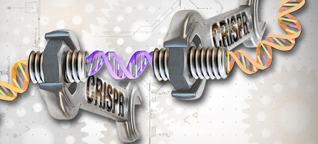 Genesis artificialis - tworzymy DNA, którego natura nie zna