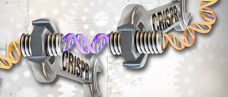 Genesis artificialis - tworzymy DNA, którego natura nie zna